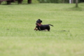 [nagi]20140628　遺産公園