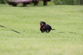 [nagi]20140628　遺産公園