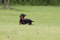 [nagi]20140628　遺産公園