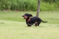 [nagi]20140628　遺産公園