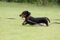 [nagi]20140628　遺産公園