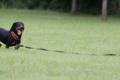 [nagi]20140628　遺産公園