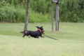 [nagi]20140628　遺産公園