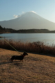 [nagi]20151227富士山