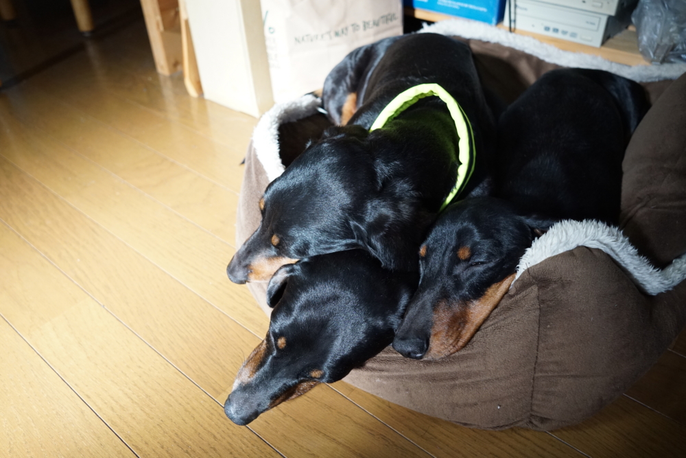 f:id:mizu2:20160913211109j:plain f:id:mizu2:20160913211109j:plain