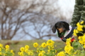 [nagi]20170107 第一なぎさ公園