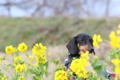 [nagi]20170107 第一なぎさ公園