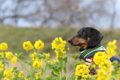 [nagi]20170107 第一なぎさ公園