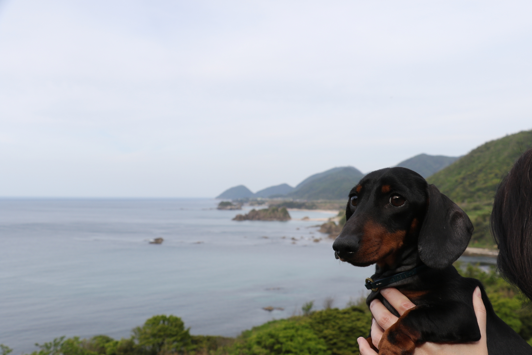 f:id:mizu2:20170511174956j:plain f:id:mizu2:20170511174956j:plain