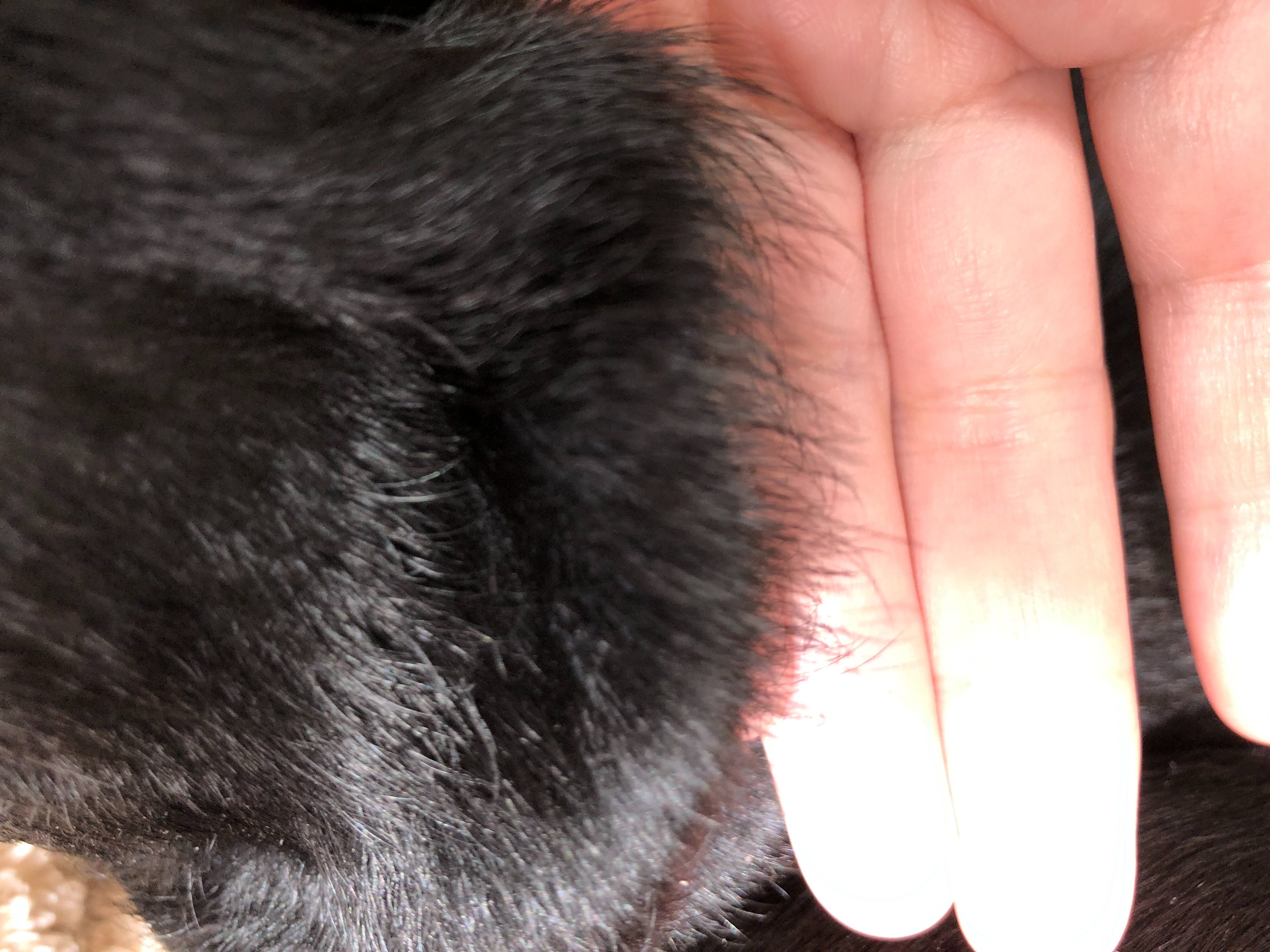f:id:mizu2:20180209121745j:image f:id:mizu2:20180209121745j:image