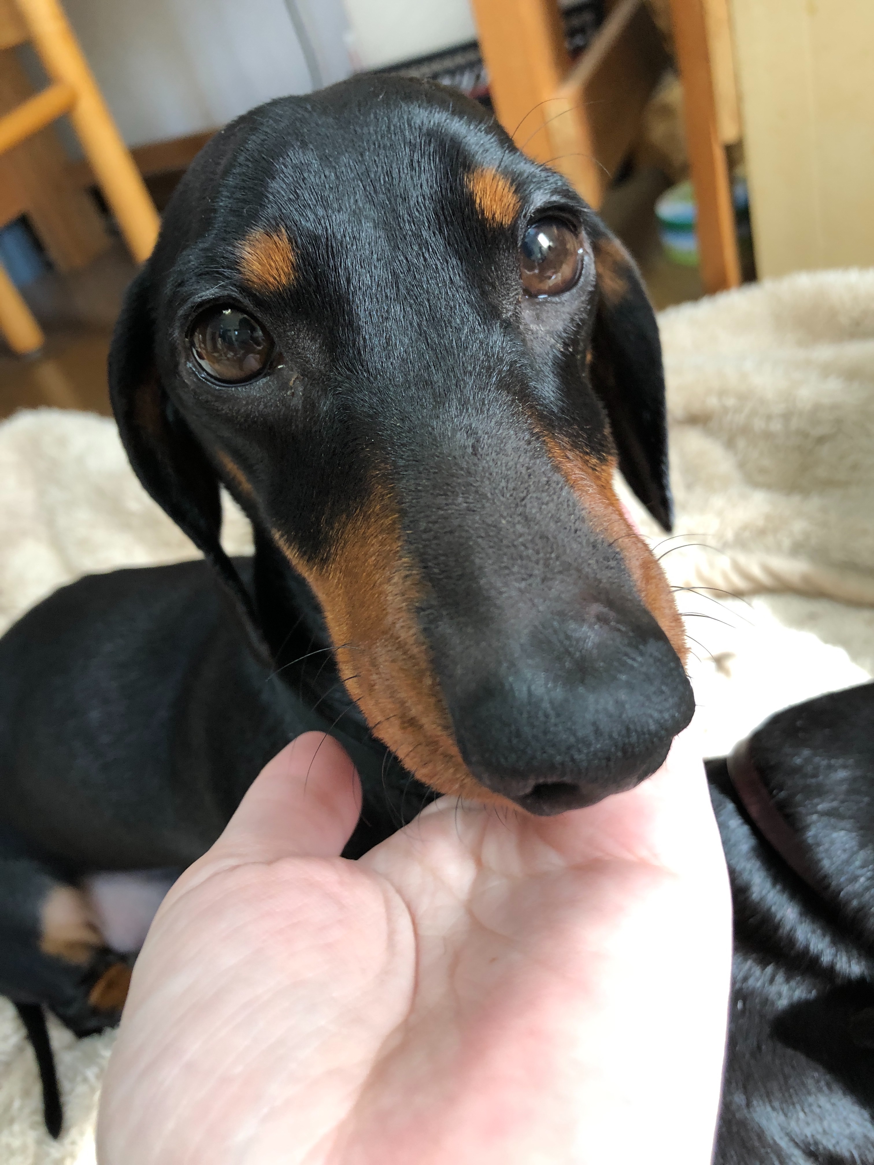 f:id:mizu2:20180209121748j:image f:id:mizu2:20180209121748j:image