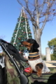 20171217ノリタケの森