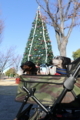 20171217ノリタケの森