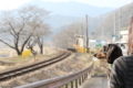 [nagi]20180304樽見鉄道