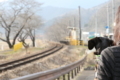 [nagi]20180304樽見鉄道