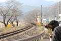 [nagi]20180304樽見鉄道