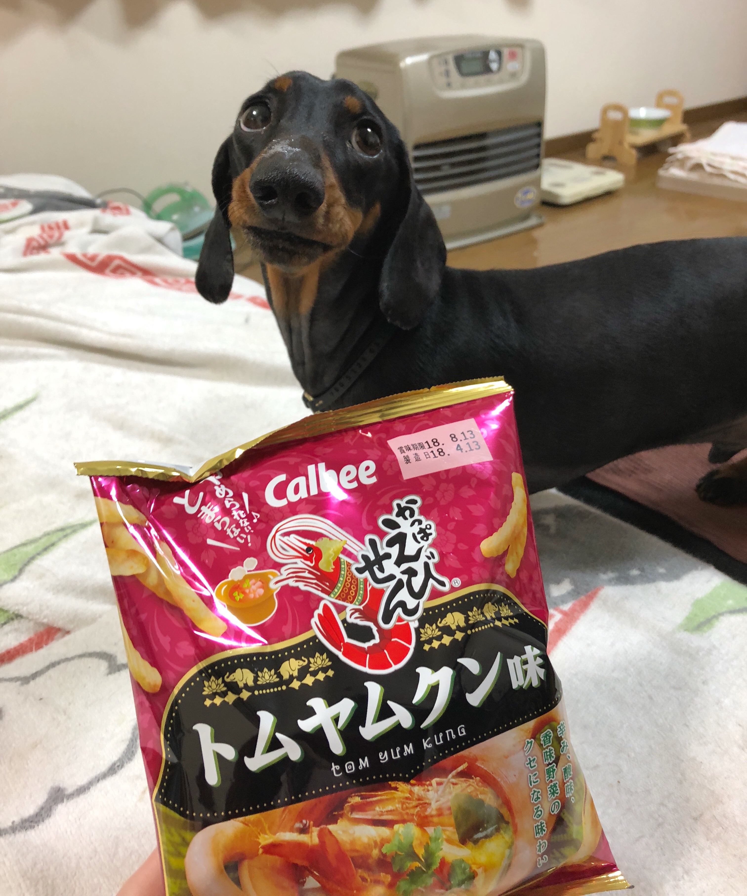 トムヤムクン味のかっぱえびせん 4 30 屋根裏 トムヤムクン味のかっぱえびせん 4 30 屋根裏