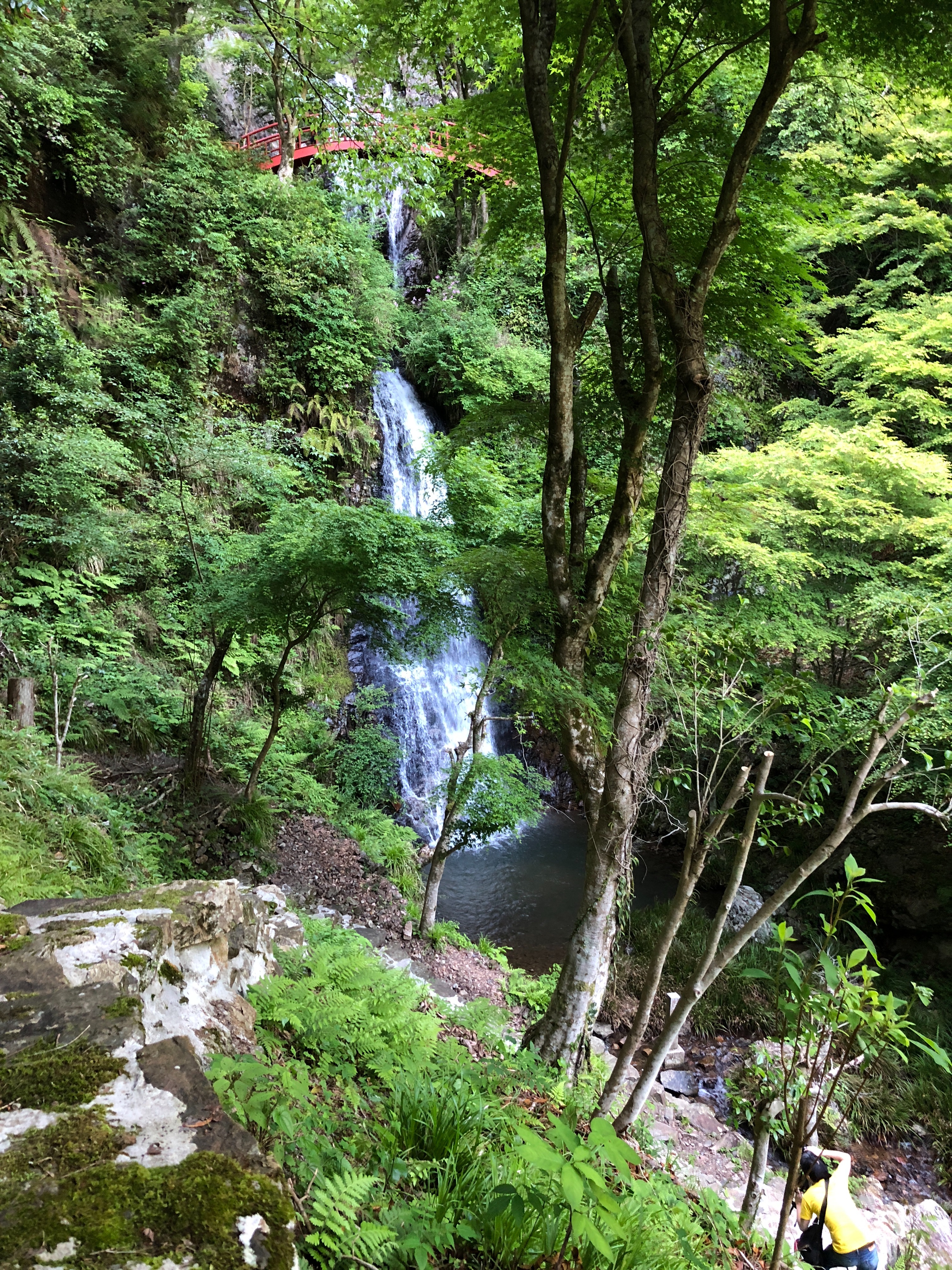 f:id:mizu2:20180521084442j:image f:id:mizu2:20180521084442j:image