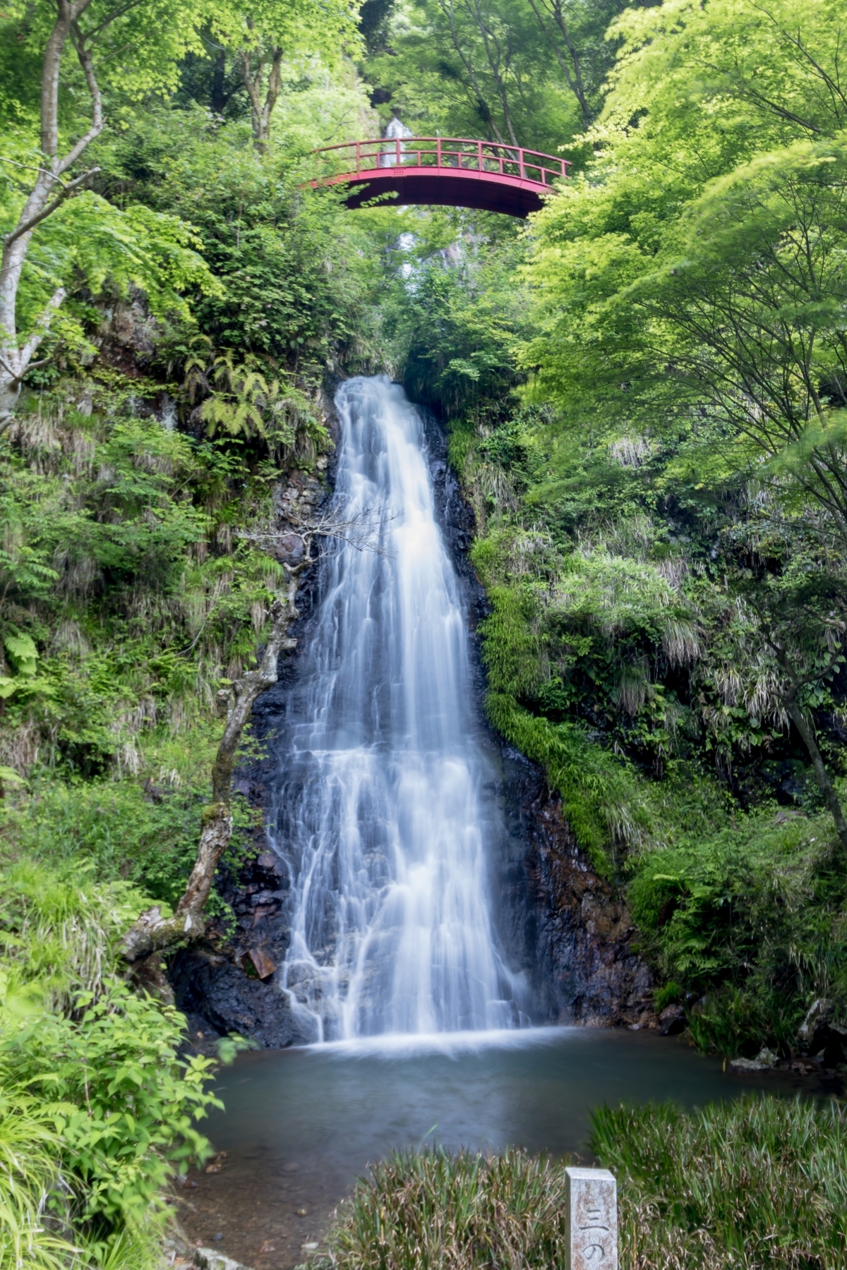 f:id:mizu2:20180606200524j:plain f:id:mizu2:20180606200524j:plain