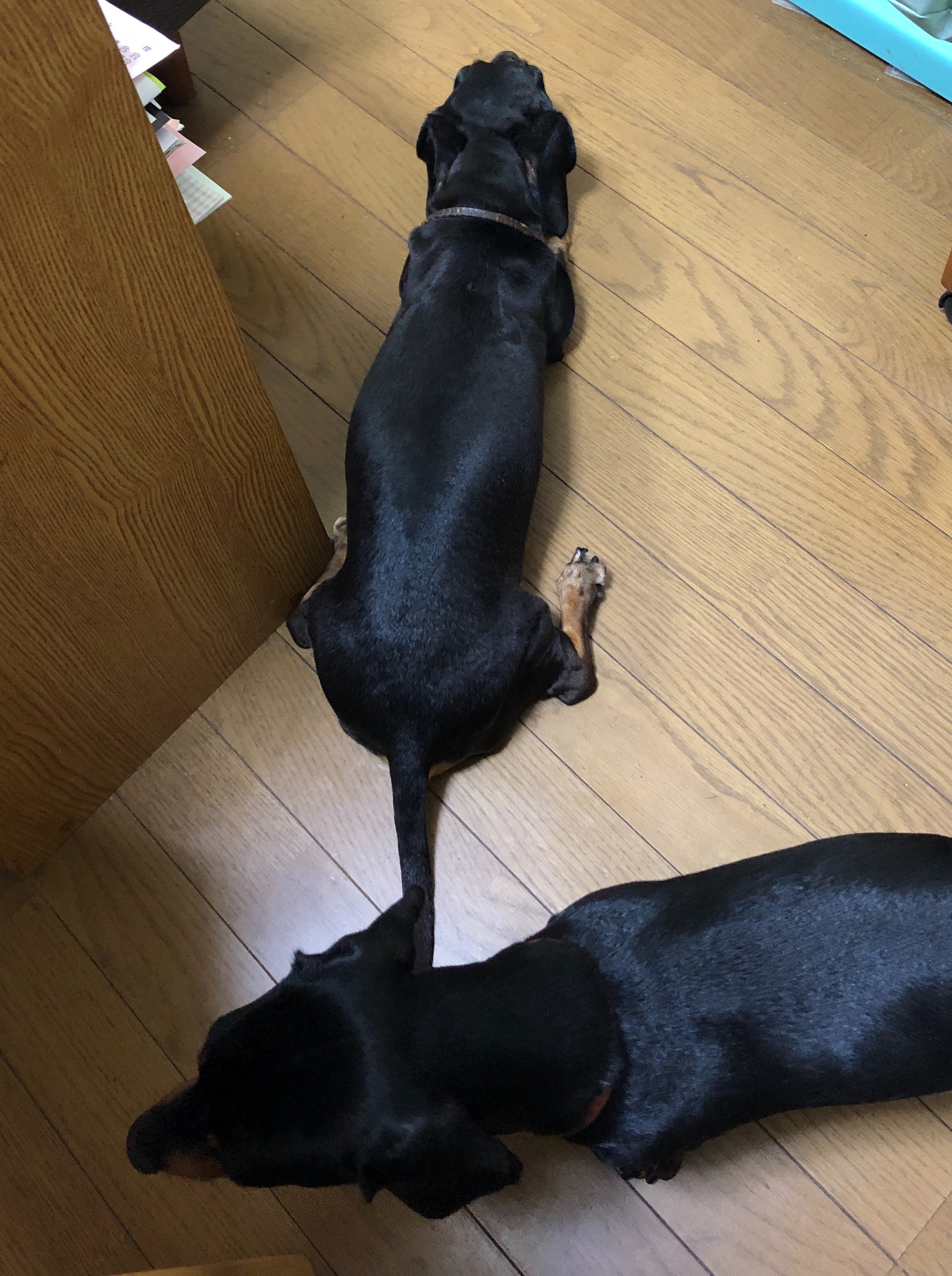 f:id:mizu2:20190705182052j:image