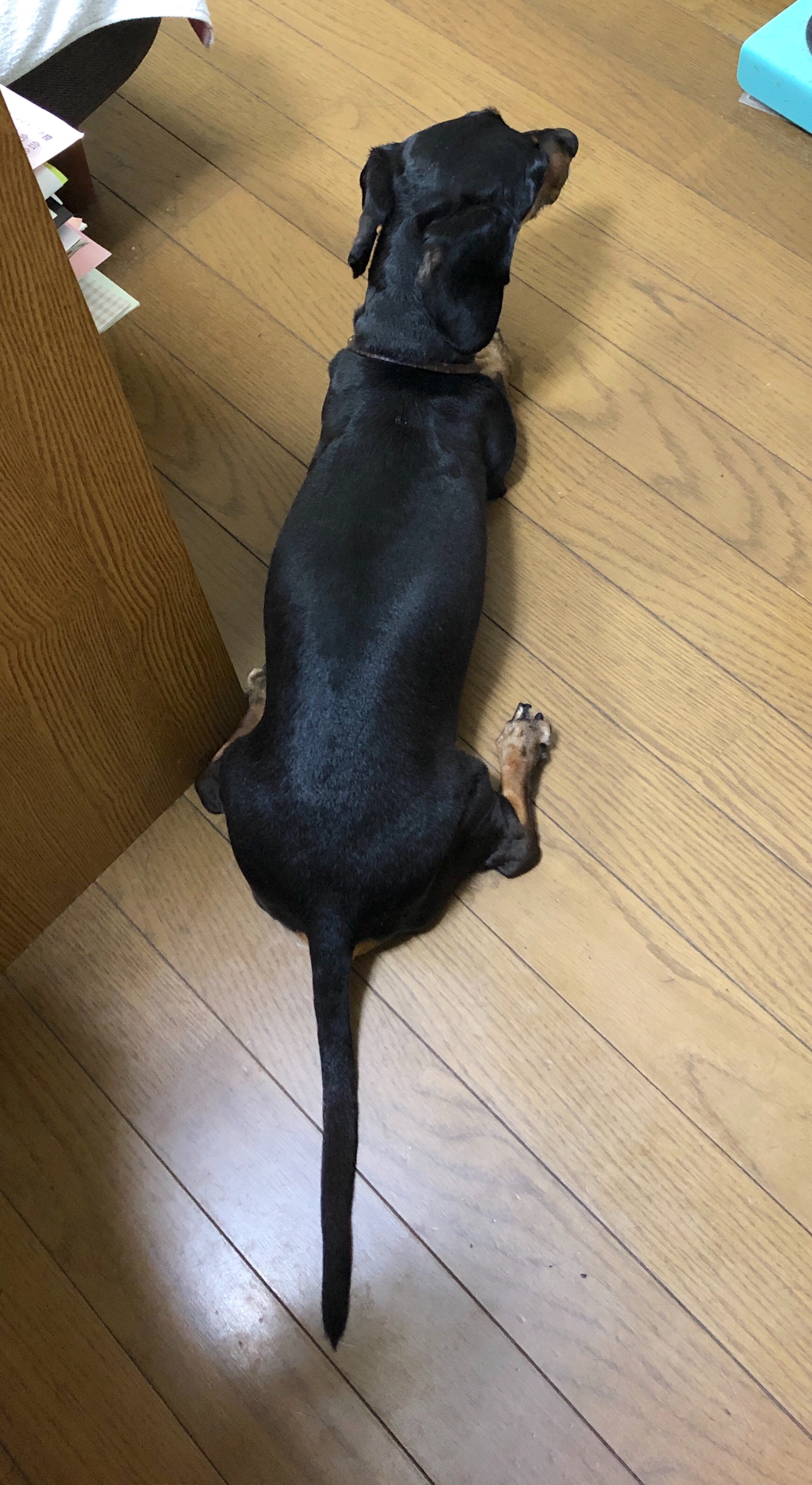 f:id:mizu2:20190705182100j:image