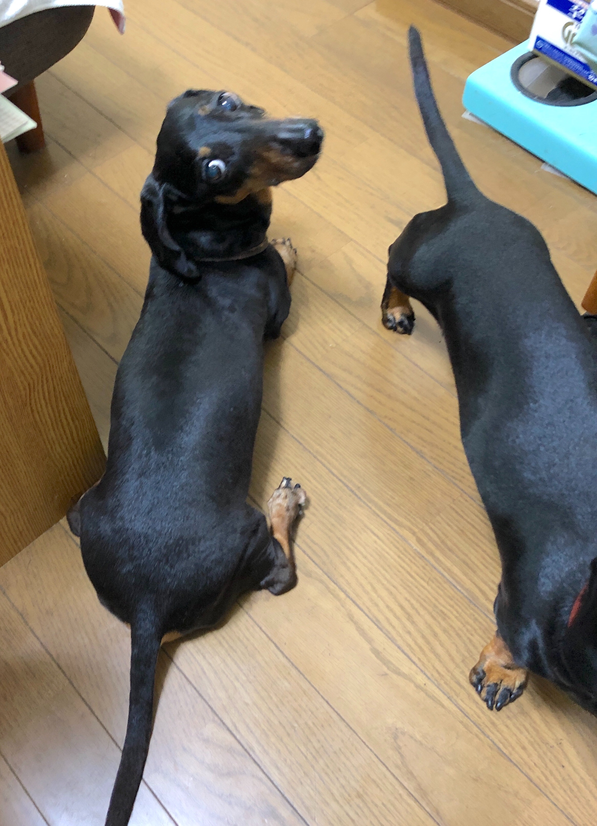 f:id:mizu2:20190705182105j:image