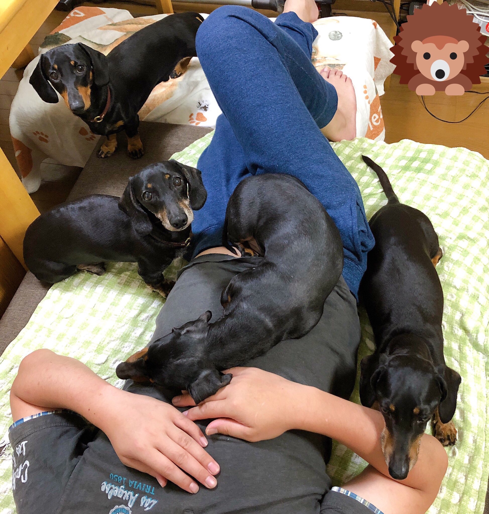 f:id:mizu2:20190715205012j:image f:id:mizu2:20190715205012j:image