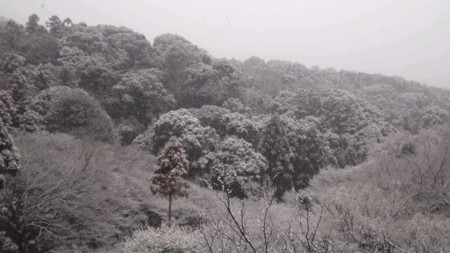 f:id:mizu6:20110211095032j:image