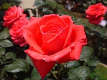 f:id:mizu6:20110522112053j:image f:id:mizu6:20110522112053j:image
