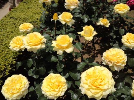 f:id:mizu6:20110522112508j:image f:id:mizu6:20110522112508j:image