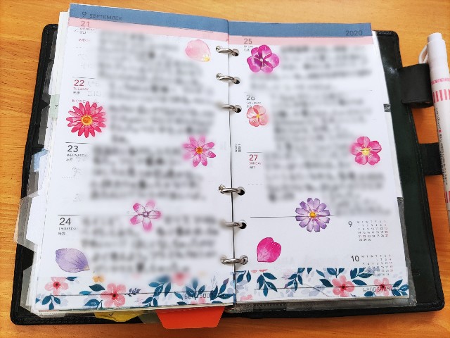 f:id:mizu_blossom:20201010091706j:image