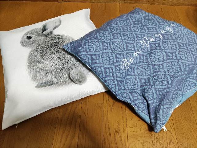 f:id:mizu_blossom:20201027234234j:image