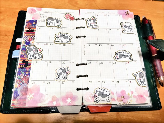 f:id:mizu_blossom:20201225192011j:image