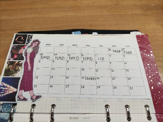 f:id:mizu_blossom:20210103182704j:image