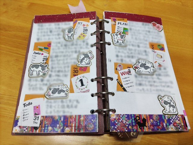 f:id:mizu_blossom:20210106230108j:image