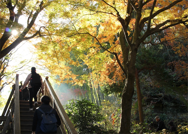 f:id:mizubelog:20180727003004p:plain