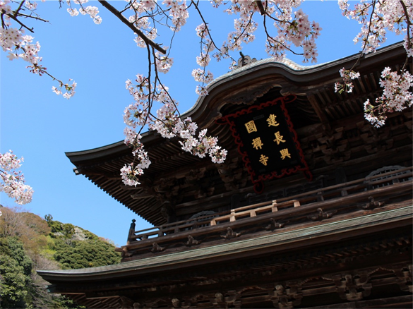 f:id:mizubelog:20180727004018p:plain