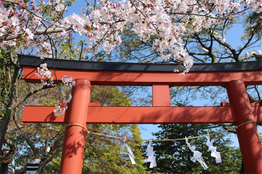 f:id:mizubelog:20180727004134p:plain