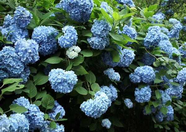 f:id:mizubelog:20180727004805p:plain