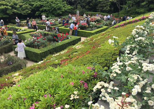 f:id:mizubelog:20180728100516p:plain