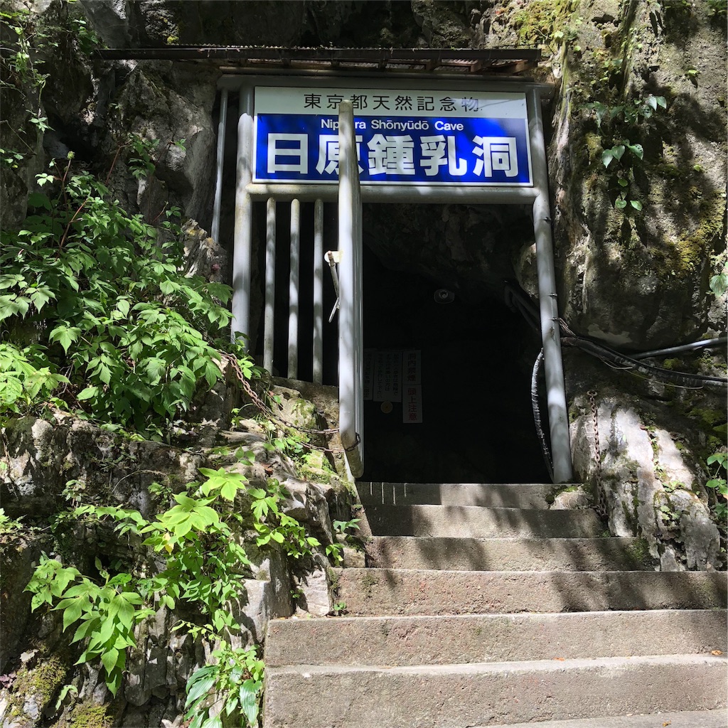 f:id:mizubelog:20180818223323j:image f:id:mizubelog:20180818223323j:image