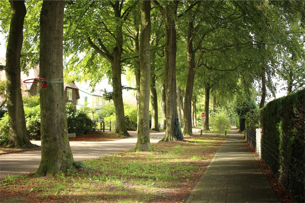 f:id:mizubelog:20180921171402j:image