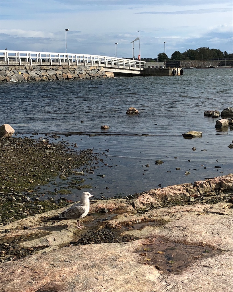 f:id:mizubelog:20180925145347j:image