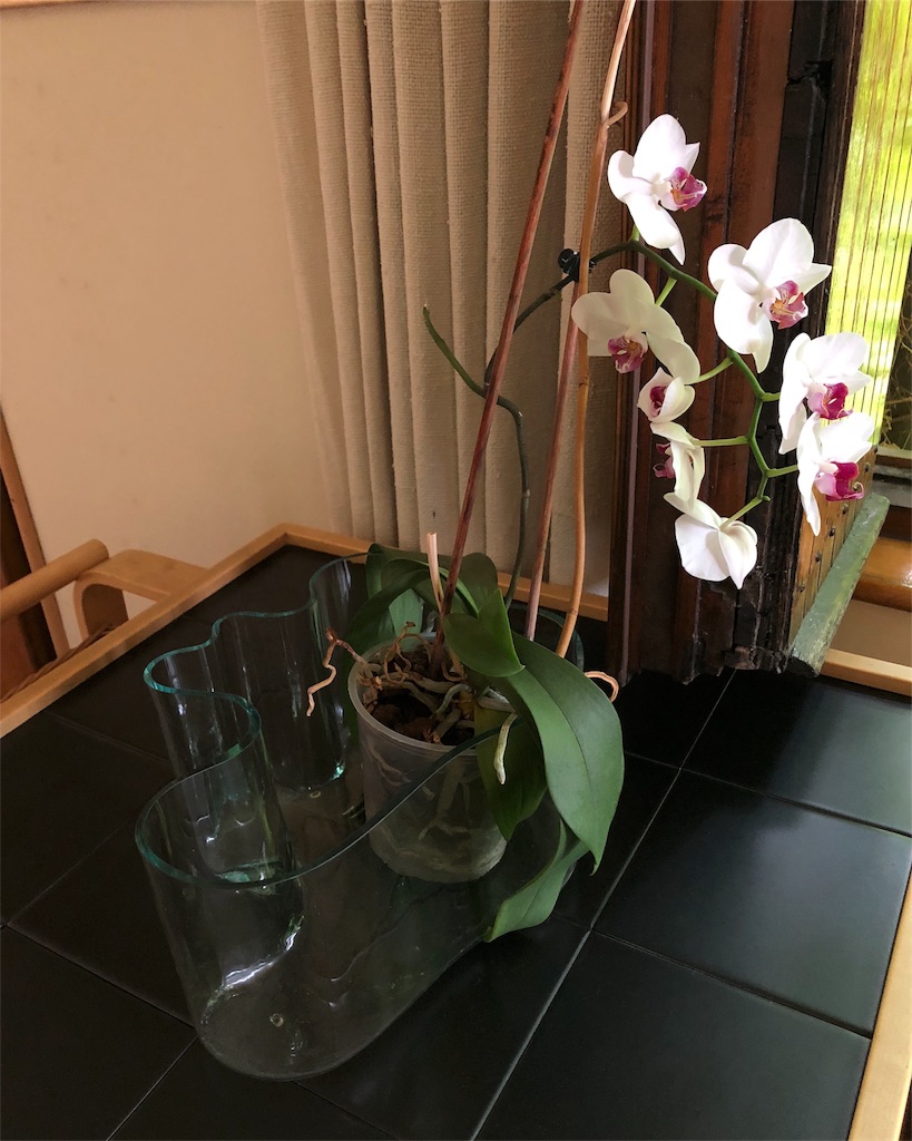 f:id:mizubelog:20180925155925j:image