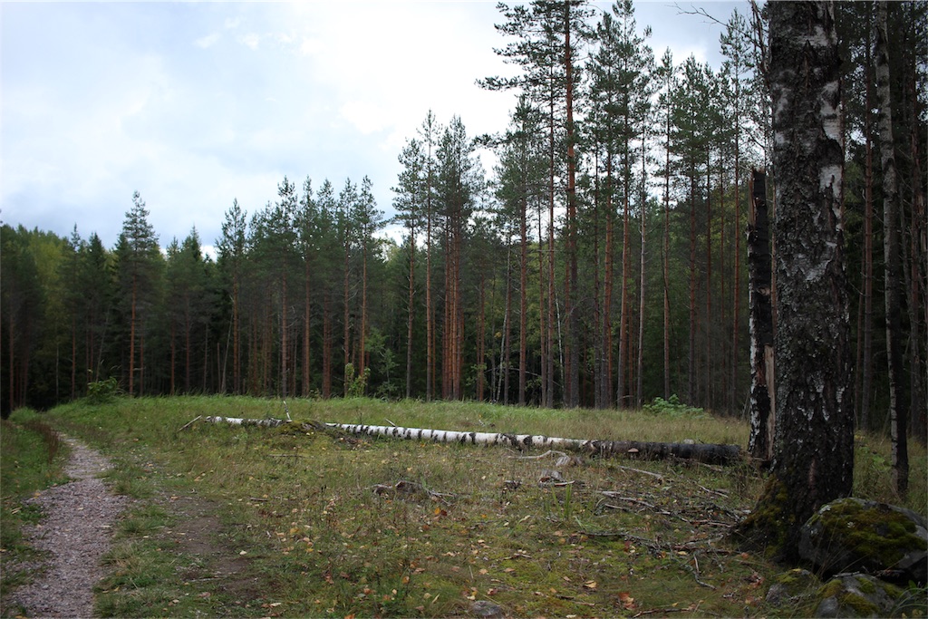 f:id:mizubelog:20180925164547j:image