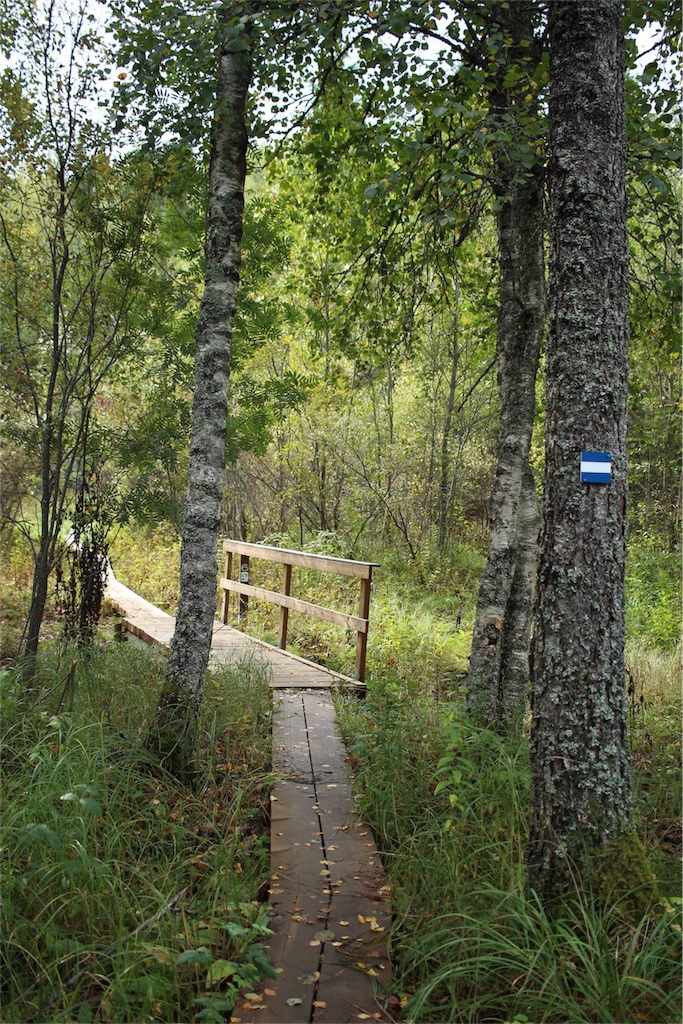 f:id:mizubelog:20180925164549j:image