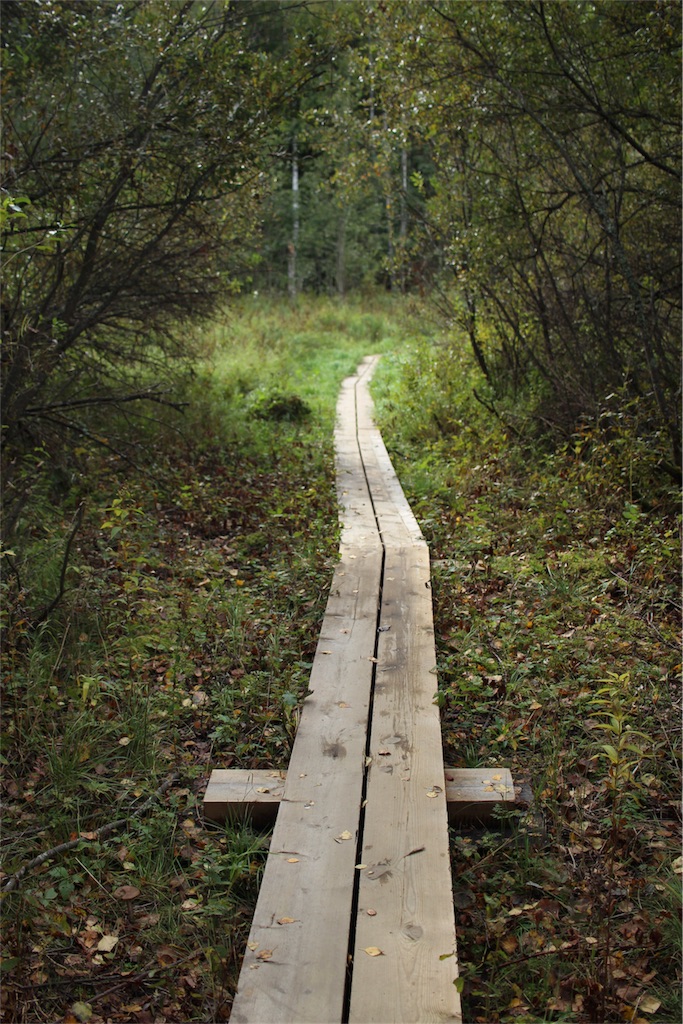 f:id:mizubelog:20180925164603j:image