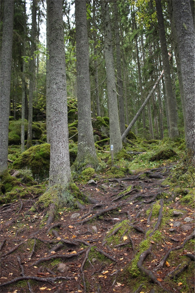 f:id:mizubelog:20180925164616j:image