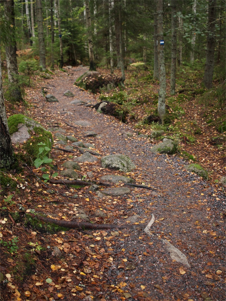 f:id:mizubelog:20180925164626j:image