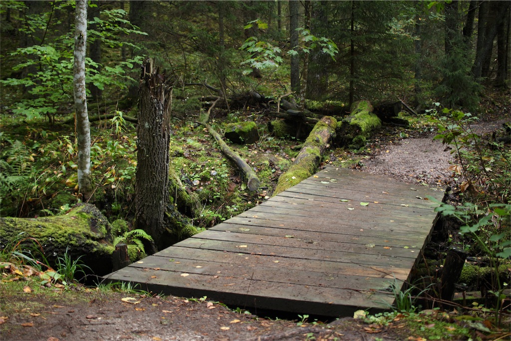 f:id:mizubelog:20180925164640j:image